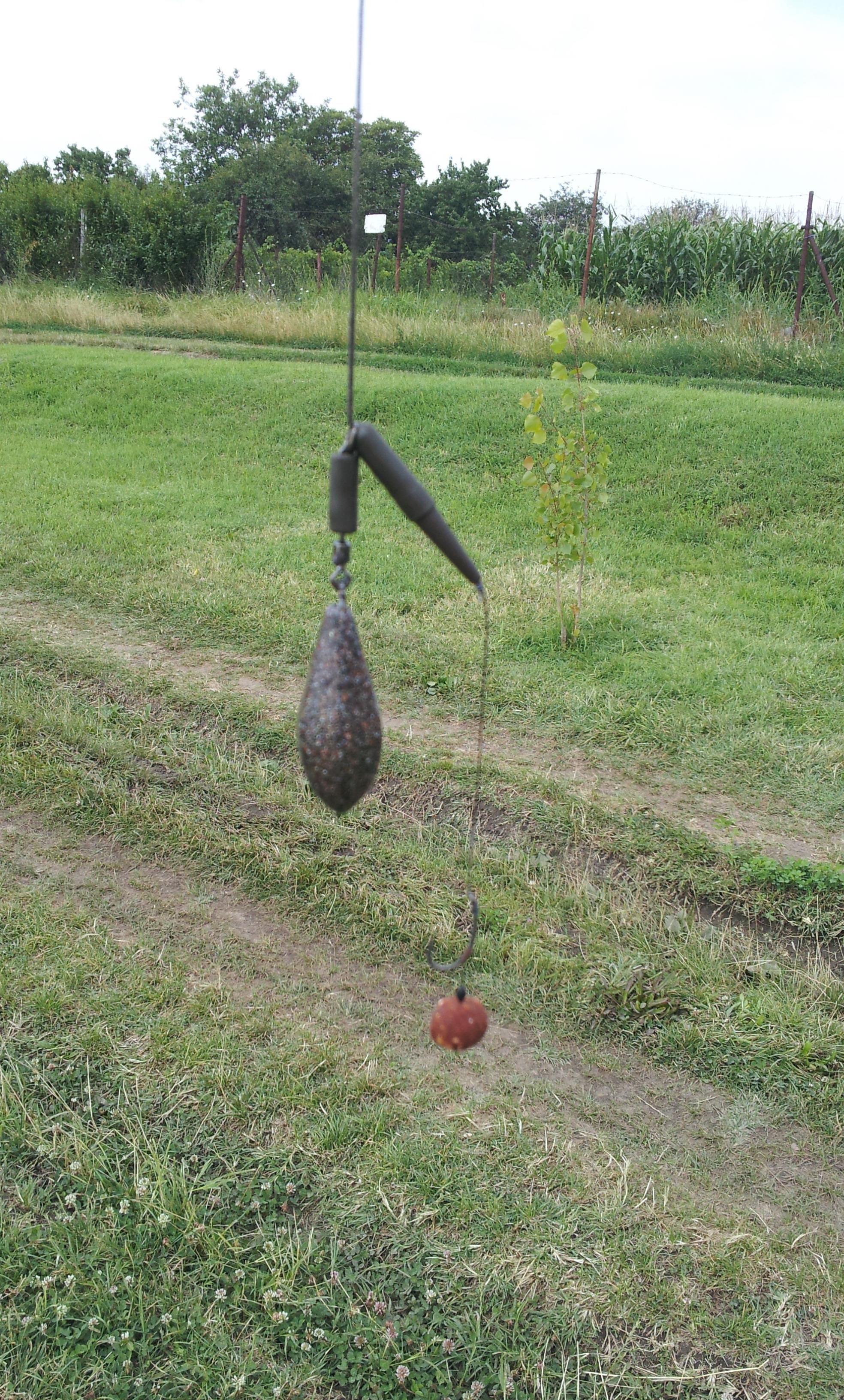 Silver  Ungaria 17 - 18 iul. - 20130717114455.jpg